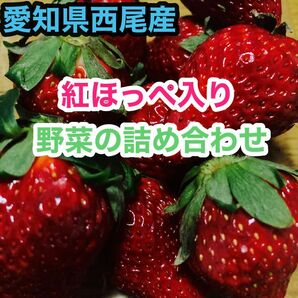 愛知県西尾市産　いちご（紅ほっぺ）入り　野菜の詰め合わせ　80サイズ