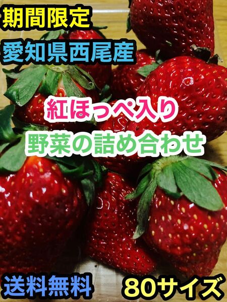 愛知県西尾市産　いちご（紅ほっぺ）入り　野菜の詰め合わせ　80サイズ