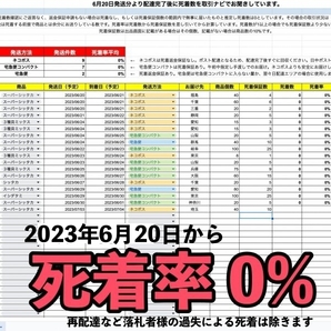 【10個＋α】シッタカ貝 石灰藻MAX type 数量限定 兵庫県産 海水 コケ取り貝 の画像5