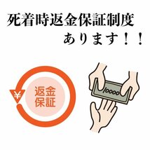 【100個＋α】シッタカ貝　兵庫県産　海水　コケ取り貝　コケトリ貝_画像7