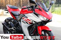 ★YZF-R25★快調！セル一発★外装良好キレイ★詳細画像多数掲載★動画で車両説明しています★検索）mt-25 ninja250 cbr250rr gsx250r_画像1