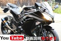 ★Ninja250★走行少なめキレイ★良音♪ピカピカ社外マフラー★快調！セル一発★詳細画像多数掲載★動画で車両説明しています★ニンジャ250_画像1