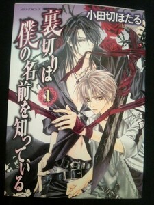 Ba3 00274 裏切りは僕の名前を知っている 第1巻 小田切ほたる 2006年7月26日発行 初版発行 角川書店