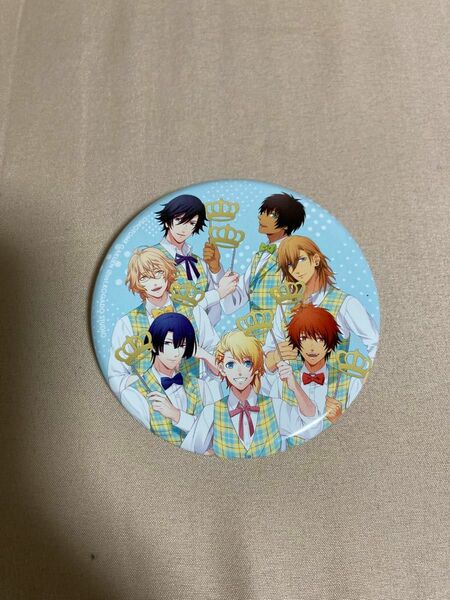 うたのプリンスさまっ♪ うたプリ 缶バッジ ST☆RISH