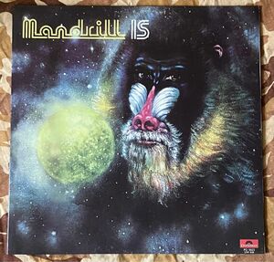 Mandrill Is/Mandrill LP 見開きジャケット