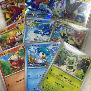 ポケモンカード ポケカ まとめ売り　新御三家　ニャオハ　クワッス　ホゲータ　セット　シャイニートレジャー