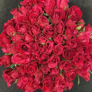 ＊赤バラの花束＊ 30㎝ 60本 ラッピング込 還暦・プロポーズ・誕生日など 産地直送！鮮度抜群，赤薔薇 花束の画像5