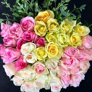  rose ( cut flowers * natural flower ) eucalyptus incidental Mix 30.SM size 50ps.@( rose 40ps.@* eucalyptus 10ps.@) direct delivery from producing area! freshness eminent!