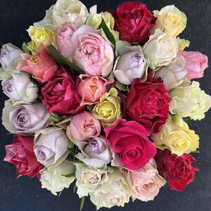  rose ( cut flowers * natural flower ) incidental Mix 30.SM size 30ps.@ direct delivery from producing area! freshness eminent! rose bouquet 