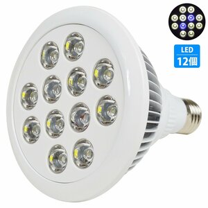 【新品即納】アクアリウム 電球 12 LED 青2/白10 水槽 用 24W スポット ライト E26 照明 交換 植物育成 水草 サンゴ 熱帯魚 照射角90度