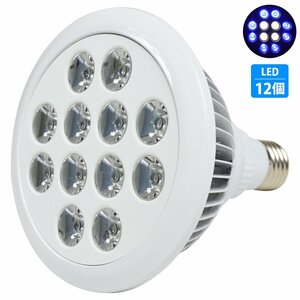 【新品即納】アクアリウム 電球 12 LED 青8/白4 水槽 用 24W スポット ライト E26 照明 交換 植物育成 水草 サンゴ 熱帯魚 照射角90度