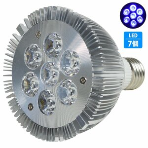 【新品即納】 水槽 用 スポット ライト 14W 電球 7LED 青7灯 口金 E26 アクアリウム 電球 照明 植物育成 水草 サンゴ 熱帯魚 観賞魚