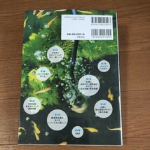 ★送料無料 即決♪ D　元気な魚が育つ水槽作り　海水もＯＫ！　臭わない・にごらない水槽で水換えなし！ 青木崇浩／著　vv④_画像2