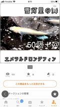 【ご購入翌日までに京都から発送】専用ページ☆雪灯里の舞 紅帝_画像2