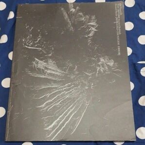 the GazettE Tour 2007-2008 stacled Rubbish Grand Finale ガゼット