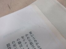 ◇A6181 書籍「夏目漱石 非西洋の苦闘」平川祐弘 新潮社 1984年 帯 文学 研究_画像7