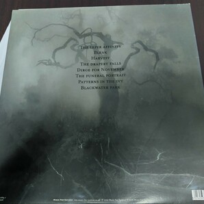 英org OPETH / Blackwater Park death black metalの画像2