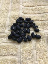 アンコにすると黒くてキレイ　黒小豆の種　30粒♪♪_画像3