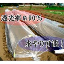 [送料無料] 防虫ネット 1mm目合 1.5m×10m 2枚(1枚あたり1840円) 銀糸入 防虫網 虫除けネット 栽培ネット 害虫侵入防止対策_画像4