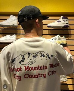 【XLサイズ】City Country City x Marmot Big Size Dry T-shirt the Apartment STABRIDGE Tシャツ 