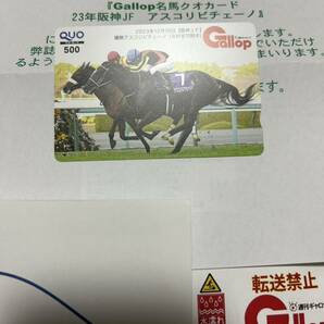 週刊Gallop 名馬クオカード アスコリピチェーノ 2023年 阪神JF 抽プレ 非売品 QUOカード ギャロップの画像2