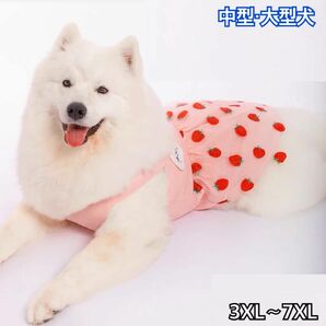 犬服 ペット服 中型犬 大型犬 春夏 いちごチュールワンピース:3XL~7XL
