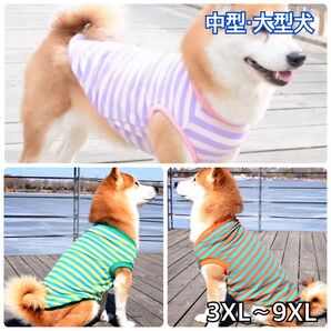 犬服 ペット服 中型犬 大型犬 春夏秋 ボーダータンクトップ:3XL〜9XL