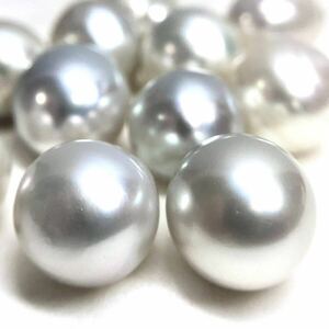 ☆南洋白蝶真珠12点おまとめ250ct☆A 約50g 約12.0-14.5mm 珠 パール ルース 裸石 宝石 ジュエリー jewelry pearl