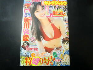 週刊ヤングジャンプ　2014/5/15　No.21.22　巻頭グラビア　新川優愛　巻末グラビア　木元みずき　制コレBOOK　IN　BOOK