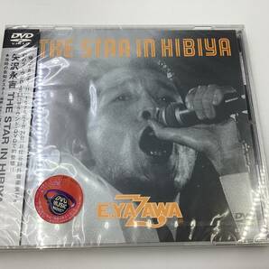 【781S】未開封 DVD 矢沢永吉 THE STAR IN HIBIYA 24ｔｈ JULY 1976 EIKICHI YAZAWA の画像1