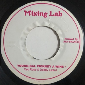 試聴 / RED ROSE & DADDY LIZARD / YOUNG GAL PICKNEY A WINE /Mixing Lab/Reggae/Dancehall/Reissue/big hit !!/7inch/1002