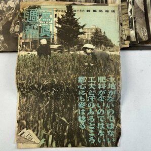 i251 当時物 写真週報 昭和16～19年 まとめて 97冊 写真 歴史 資料の画像6