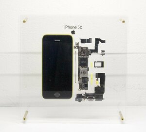 Apple iPhone 5C 標本アート アップル 自作 分解 展示 パネル スマホ 2041912