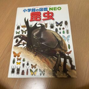 し 小学館の図鑑NEO 昆虫