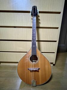 Fender Flat mandolin 