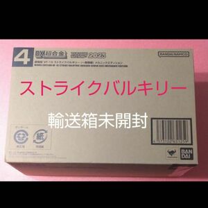 DX超合金 劇場版 VF-1S ストライクバルキリー （一条輝機） メカニックエディション約300mm