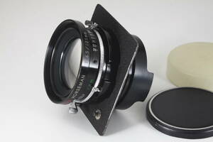 ★超極上美品★ TOKYO KOGAKU SUPER HORSEMAN 105mm F4.5 ★完動品、光学極上★ホースマン #236