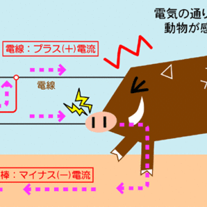 電気柵 マモル君 明るさセンサー付 防獣・害獣対策 アニマルバスター DC12V 出力9000V 範囲20Km 鹿・猪・狸・アライグマ・ハクビシン・サルの画像7