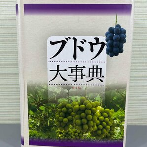 ▼中古品▼ ブドウ大事典 農山漁村文化協会 農文協編 ※書き込み・塗りつぶしあり（21024041205707NM)の画像1