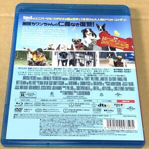 「スラムドッグス」Blu-rayのみ 『テッド』のユニバーサル・スタジオが贈る闇堕ちワンちゃんの仁義なき復讐! 森川智之秋山竜次津田健次郎の画像2