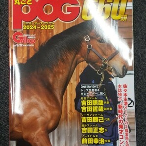 競馬 丸ごとPOG Gallop