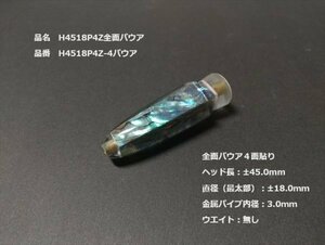 カジキ用　H4518P4Z全面パウア　クリックポスト送料無料