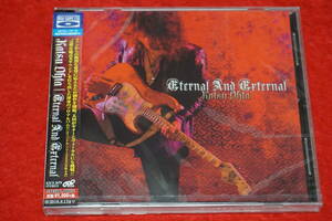 【新品 高音質BSCD '09年作】 太田カツ / Eternal And External 超絶速弾きギタリスト アーク・ストーム Ark Storm