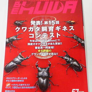 BE KUWA ビークワ No.57■クワガタ飼育ギネスコンテスト｜南アフリカ ハナムグリ採集／ウムハンギノコの飼育／グランディス95㎜飼育の軌跡