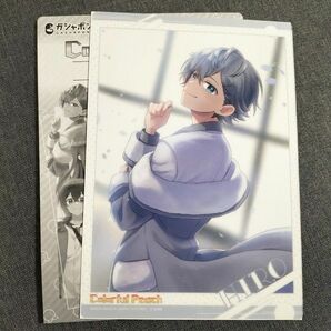 カラフルピーチ カラピチ A5 クリア ポスター ヒロ ヒロくん