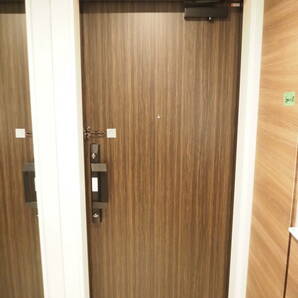 GN-11 モデルルーム展示品 日本フネン 玄関ドア 枠・鍵・インターホン付き！の画像8
