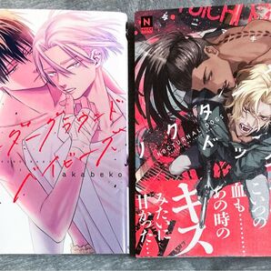 BL漫画 コミック 2冊セット akabeko 与一マキナ