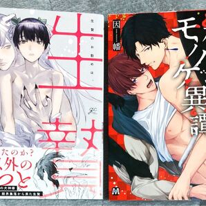 BL漫画 コミック 2冊セット 博士 因幡