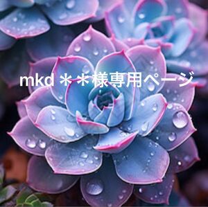 mkd＊＊様専用★新入荷★韓国苗★魅女王、粉真珠大福、黒檀汁★可愛い紅葉大苗★超美苗★多肉植物★エケベリア