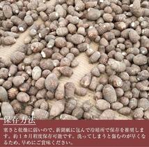 【訳あり】黄金里芋 大和芋 宅急便 5kg さといも サトイモ 山芋_画像4